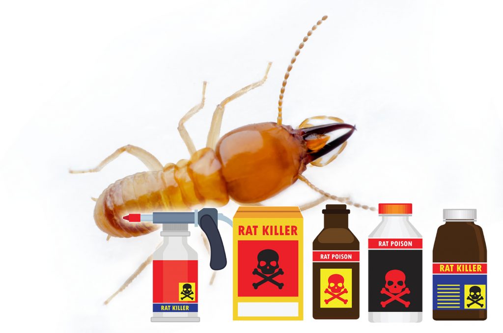 お気に入り DIY 自分で出来る害虫駆除シロアリ駆除 ネオアリシス オレンジ 18L×5本 木材保存剤 白蟻対策 シロアリ キクイムシ 防蟻 